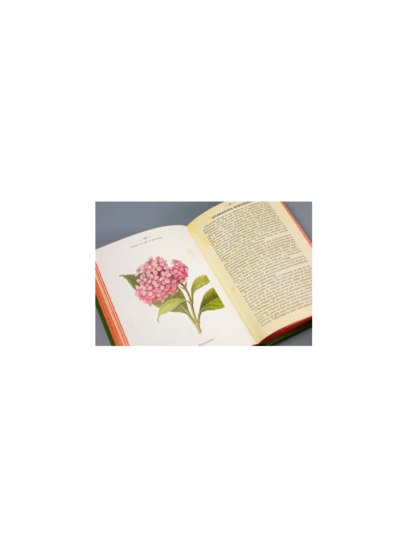 Miniature 2