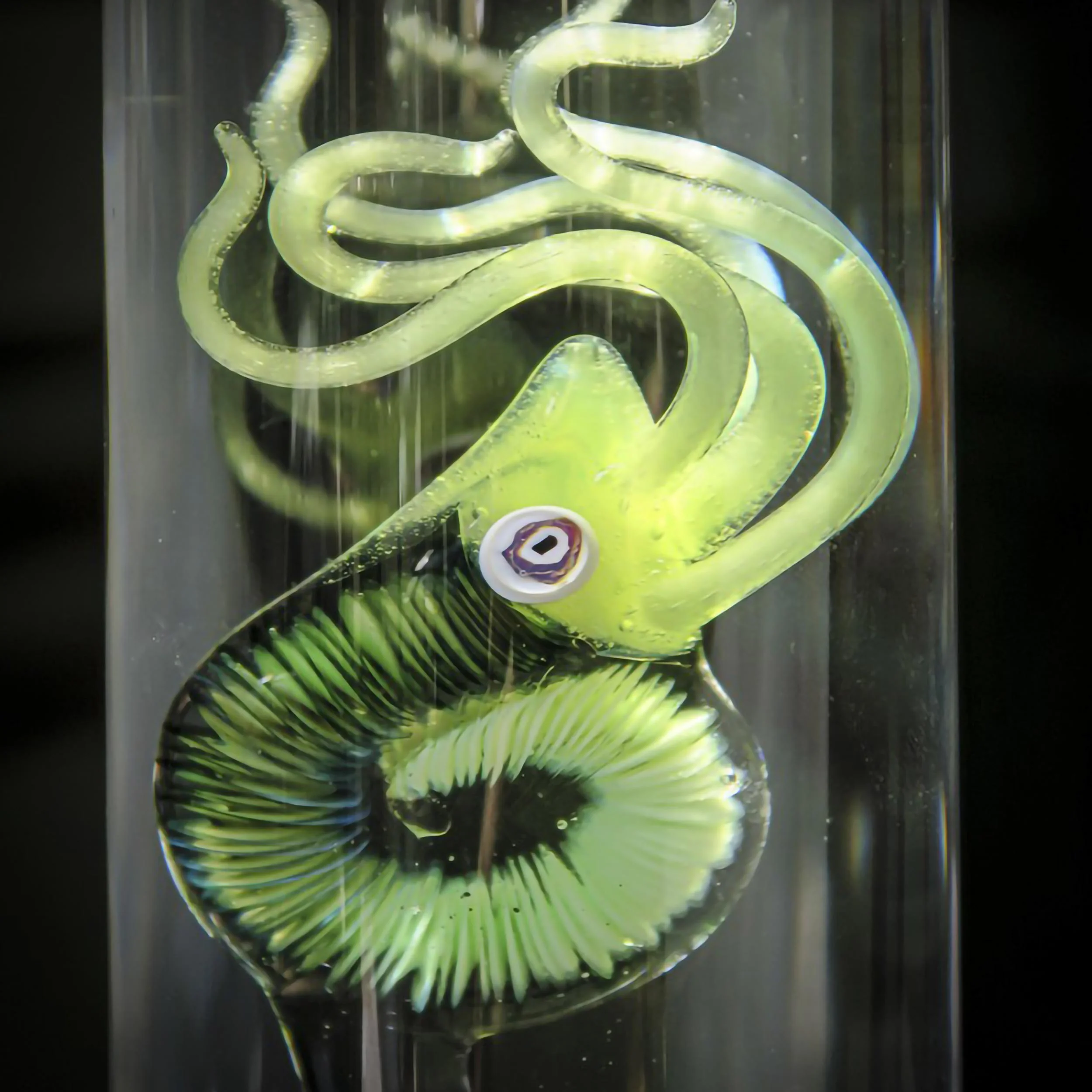 Miniature 3