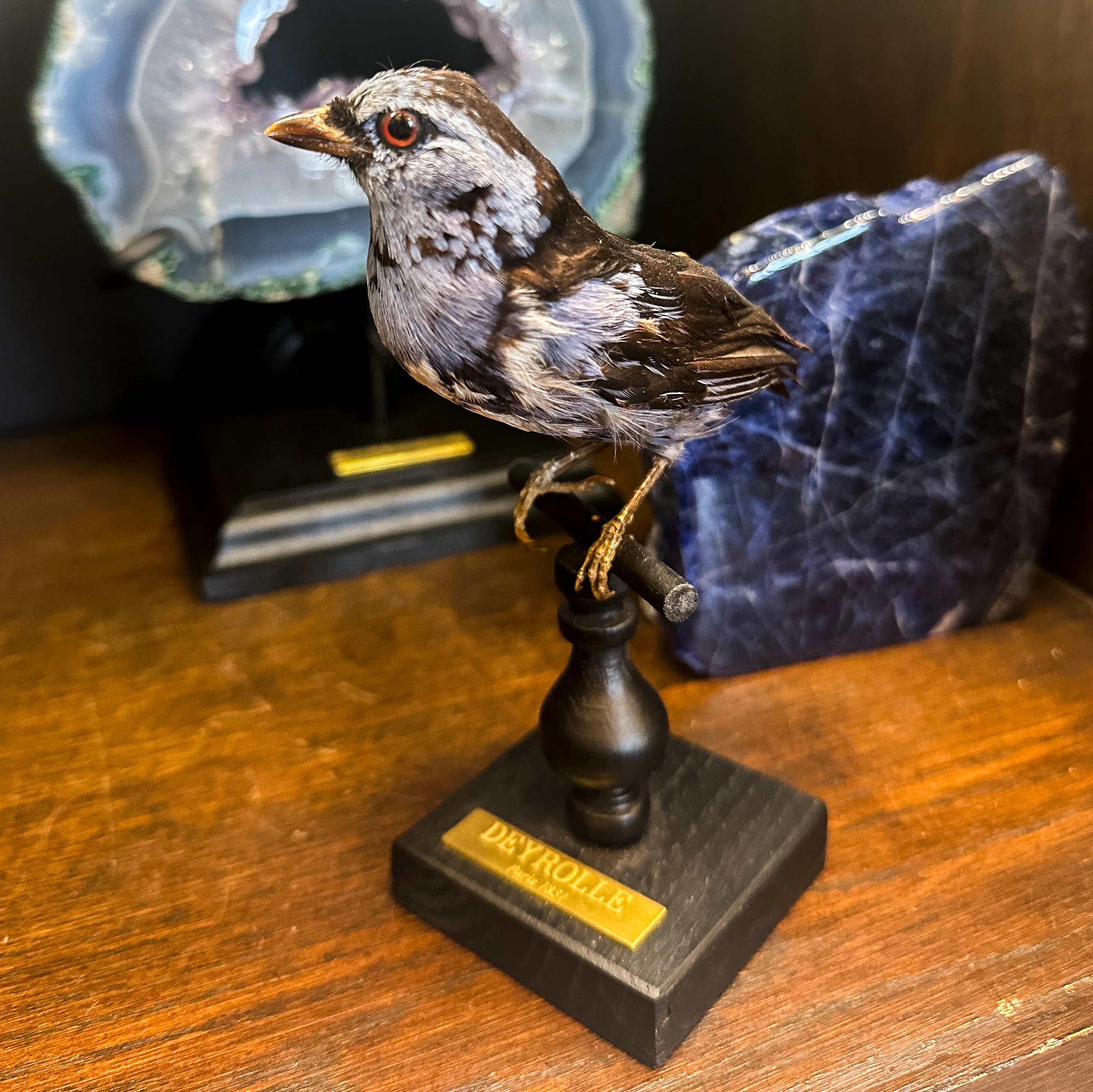Miniature 1