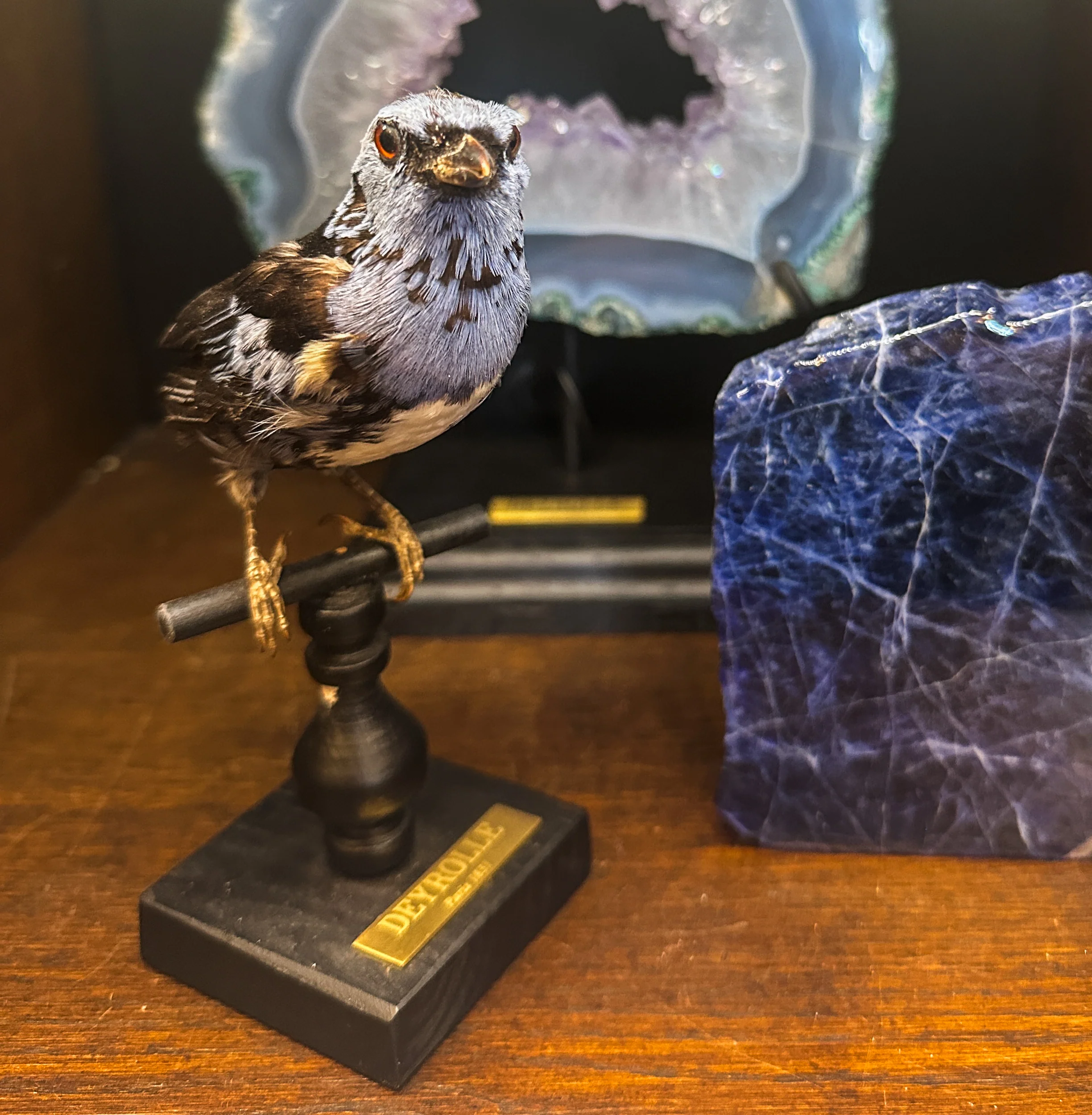 Miniature 4