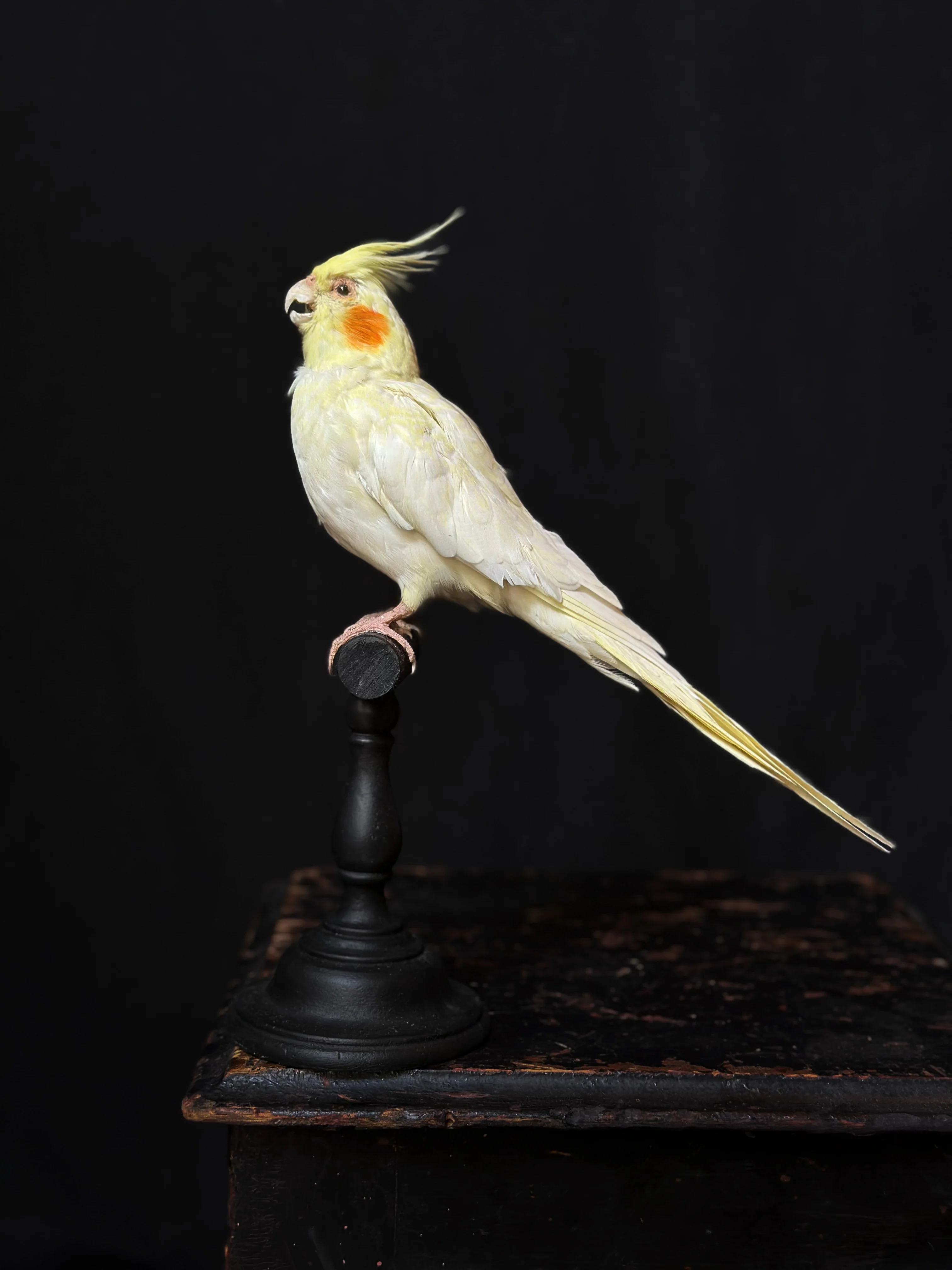 Miniature 3