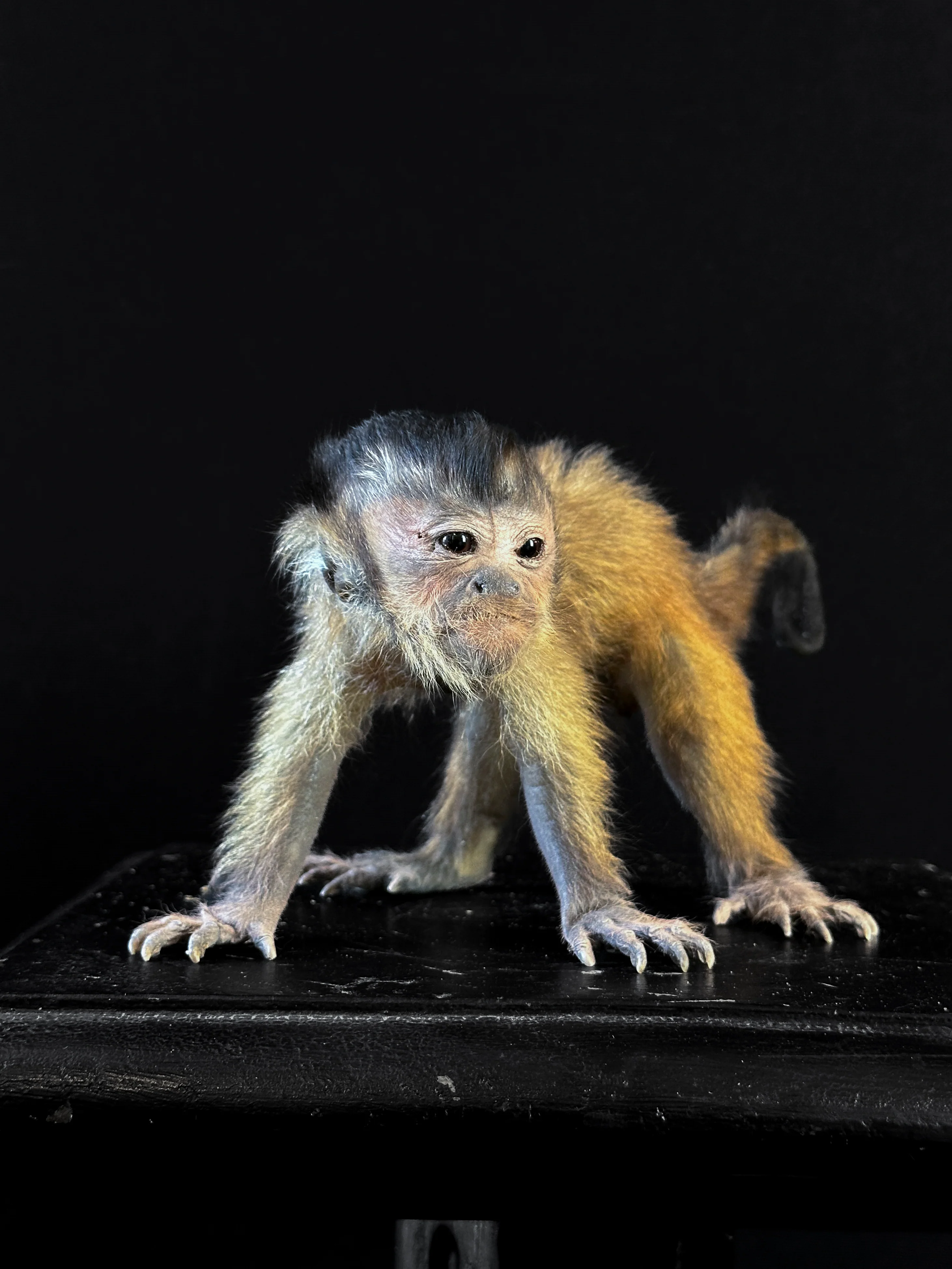 Miniature 2