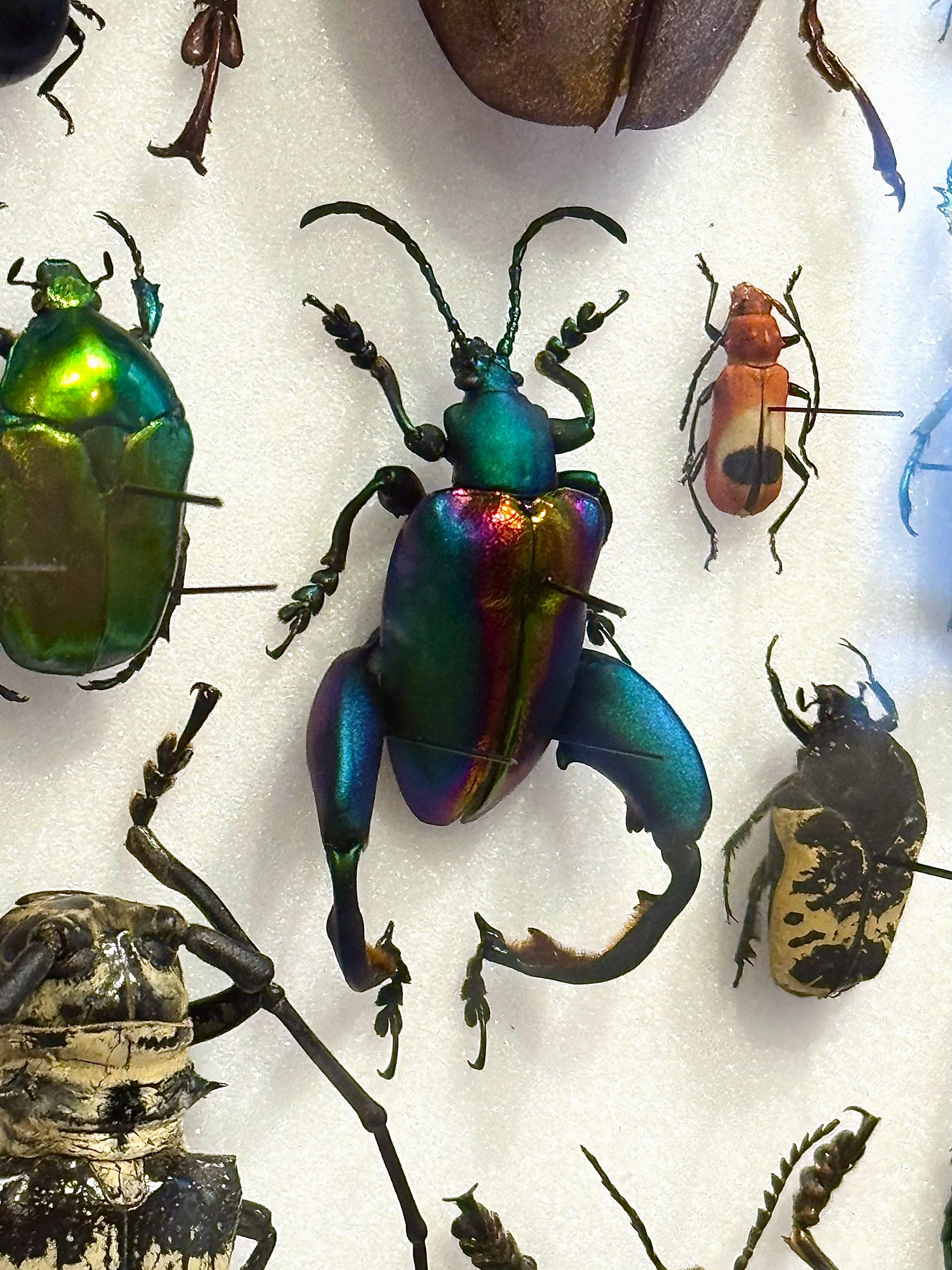 Miniature 6