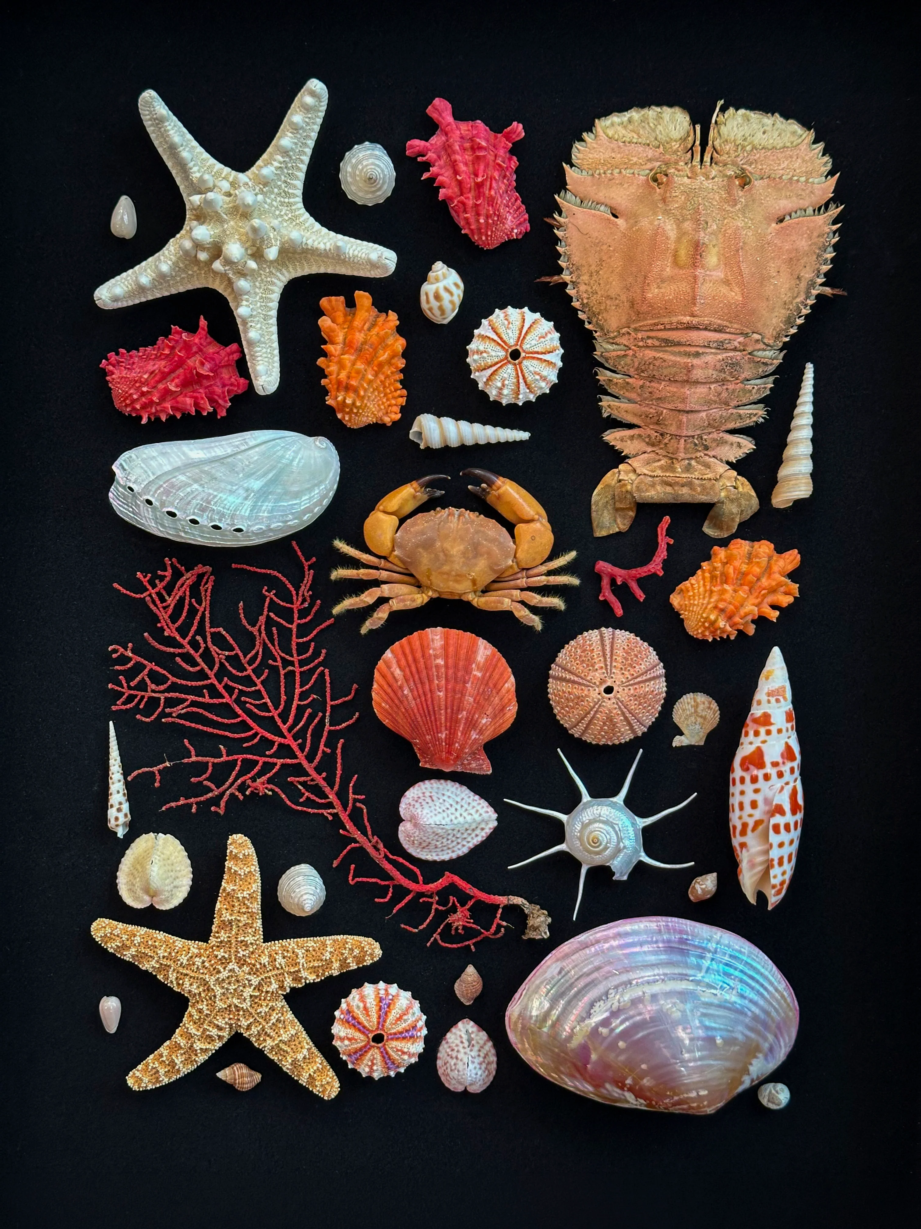 Miniature 4
