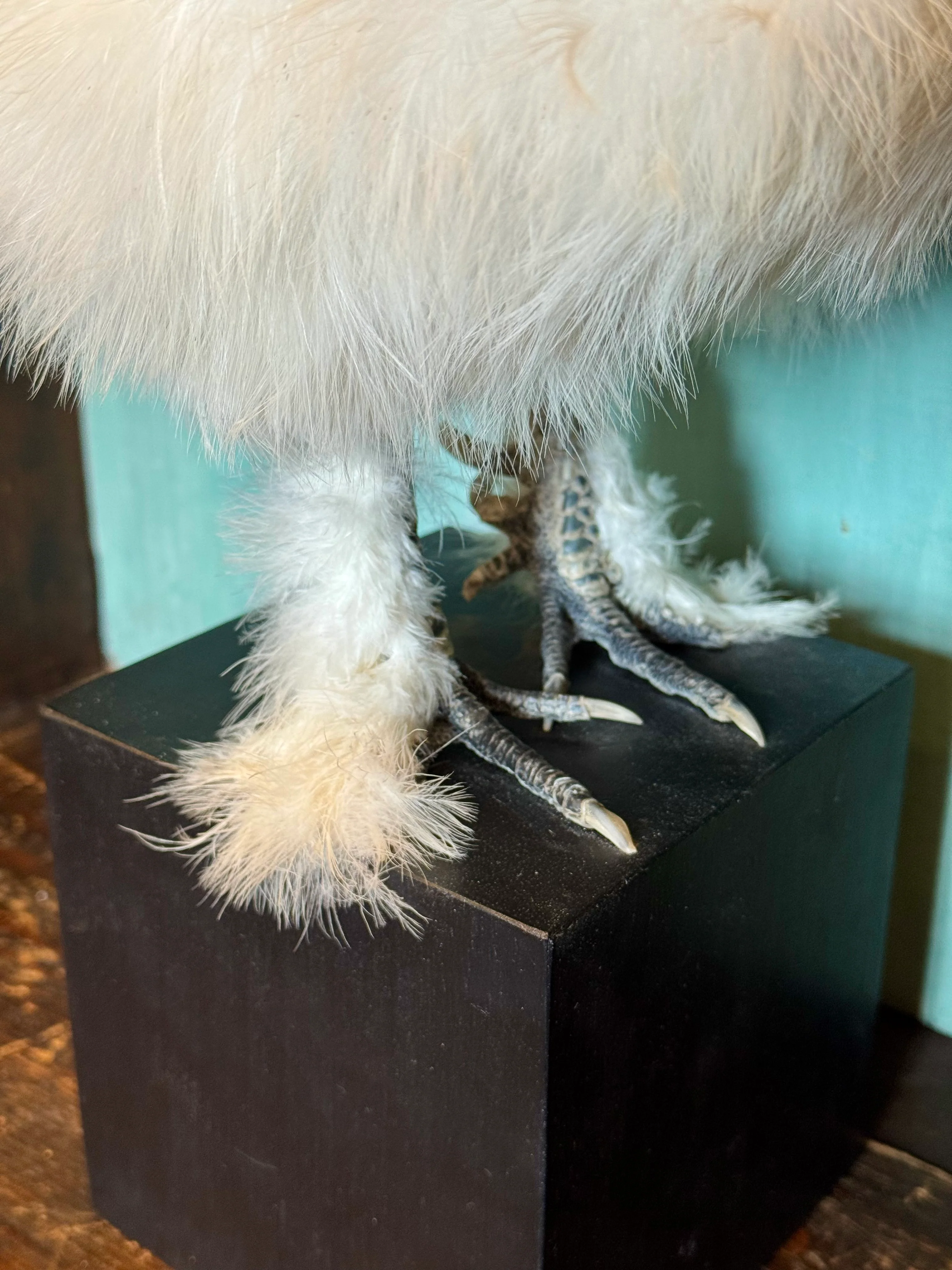 Miniature 3