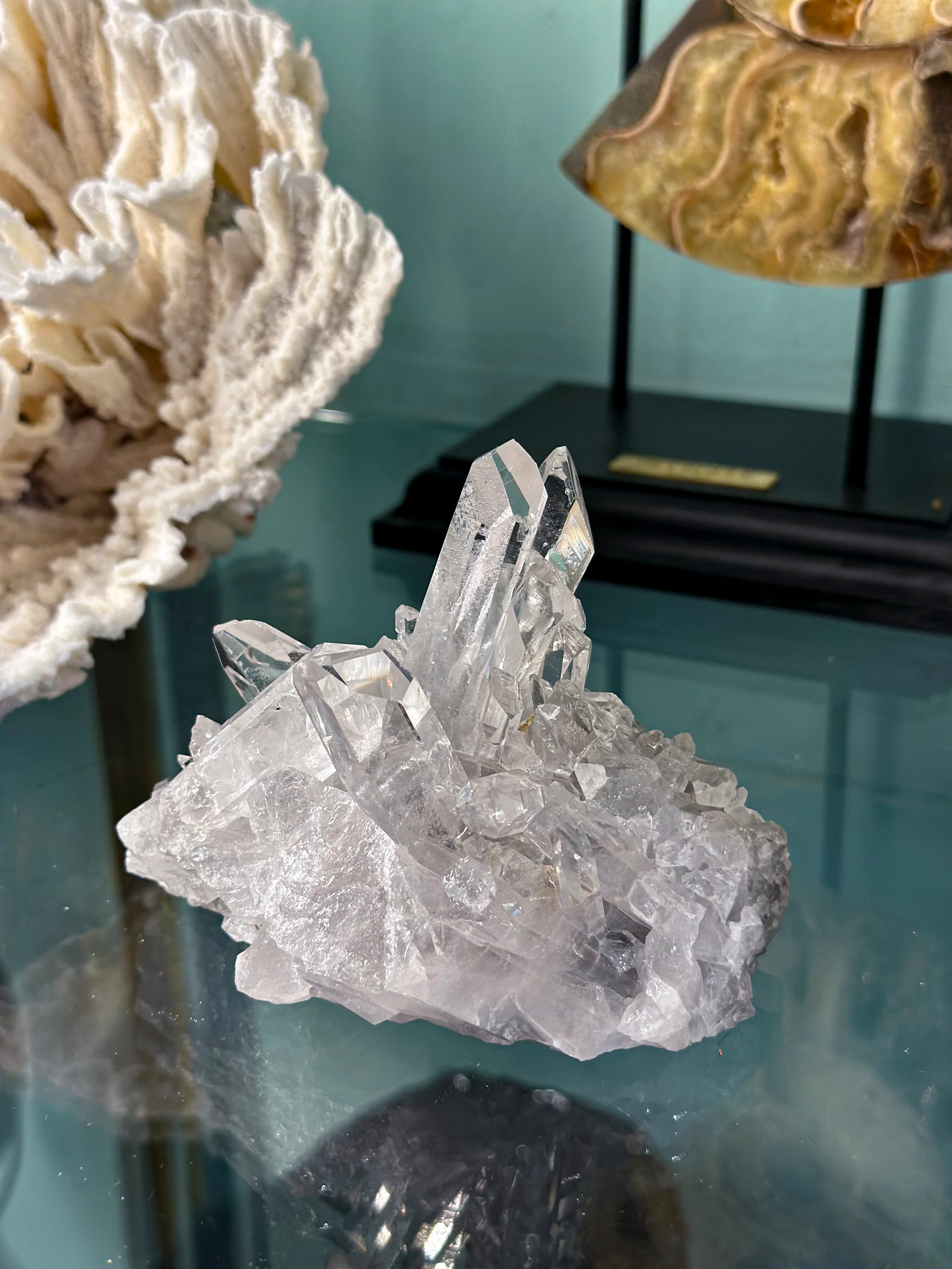 Miniature 1