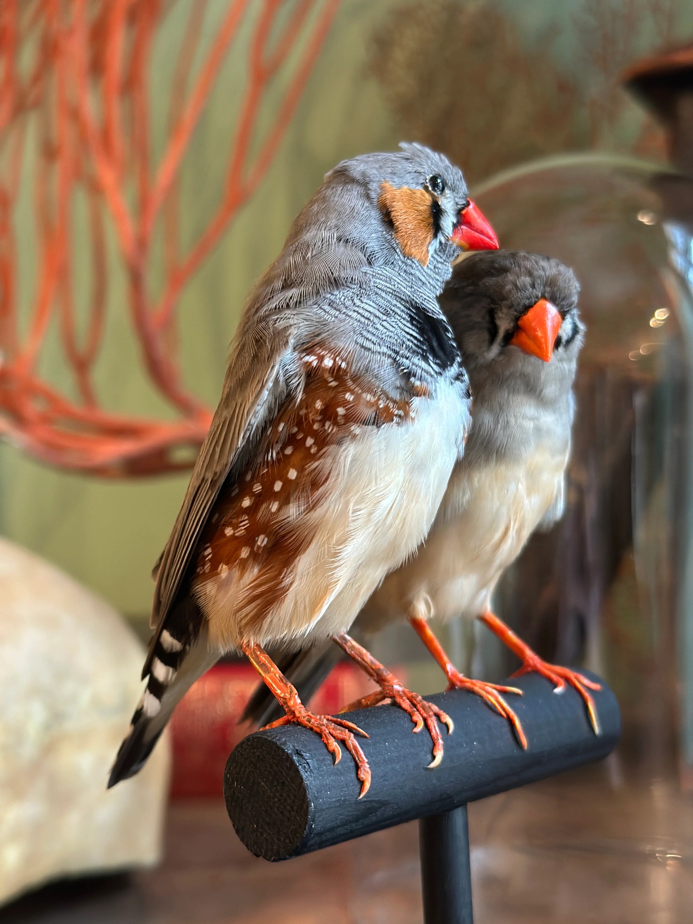 Miniature 3