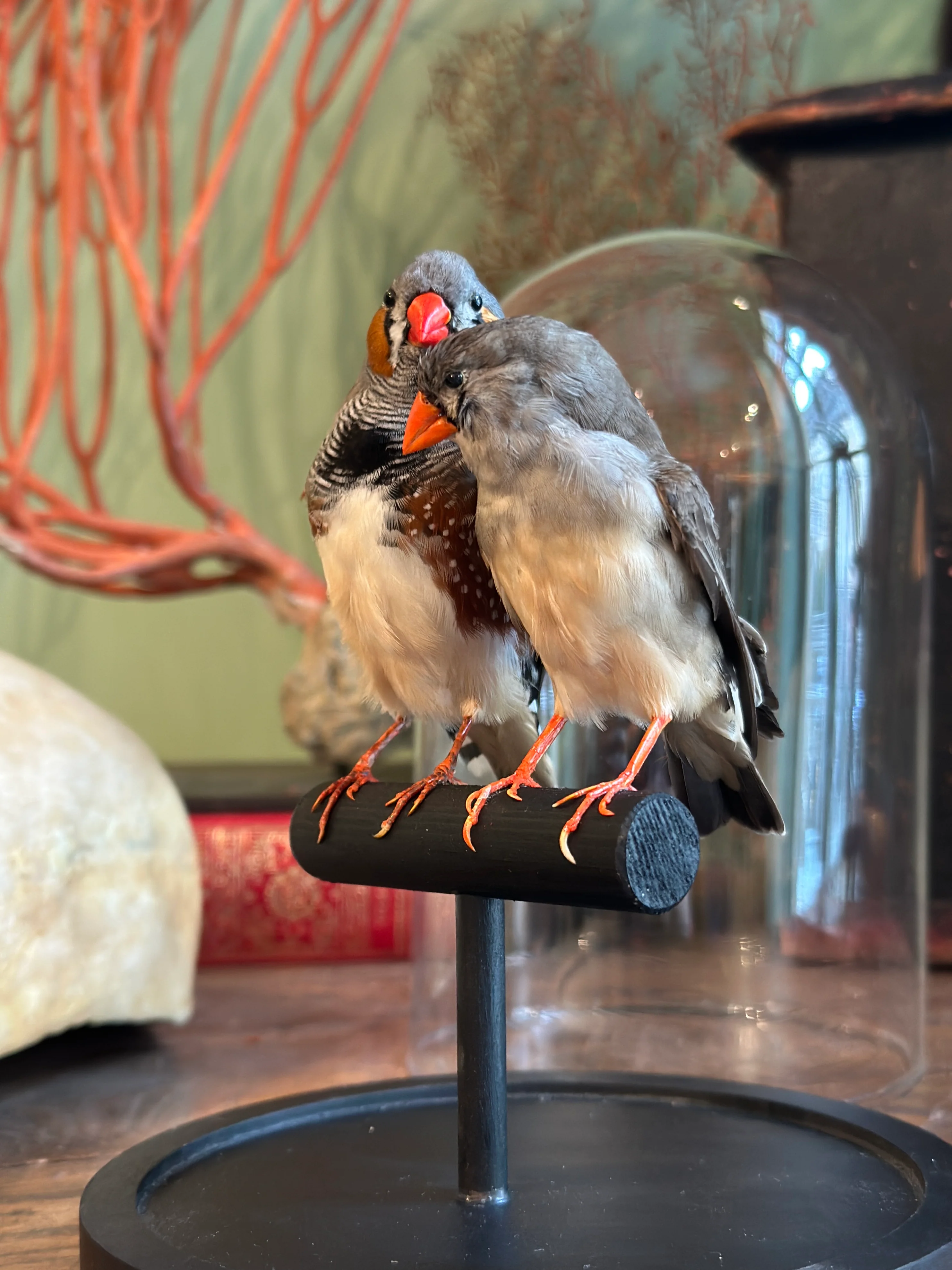 Miniature 5