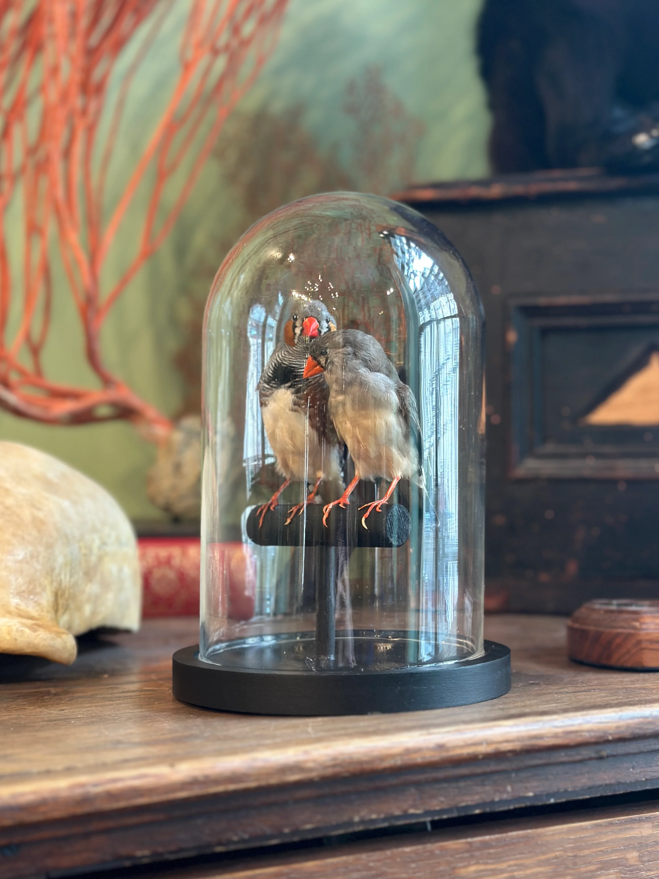 Miniature 6