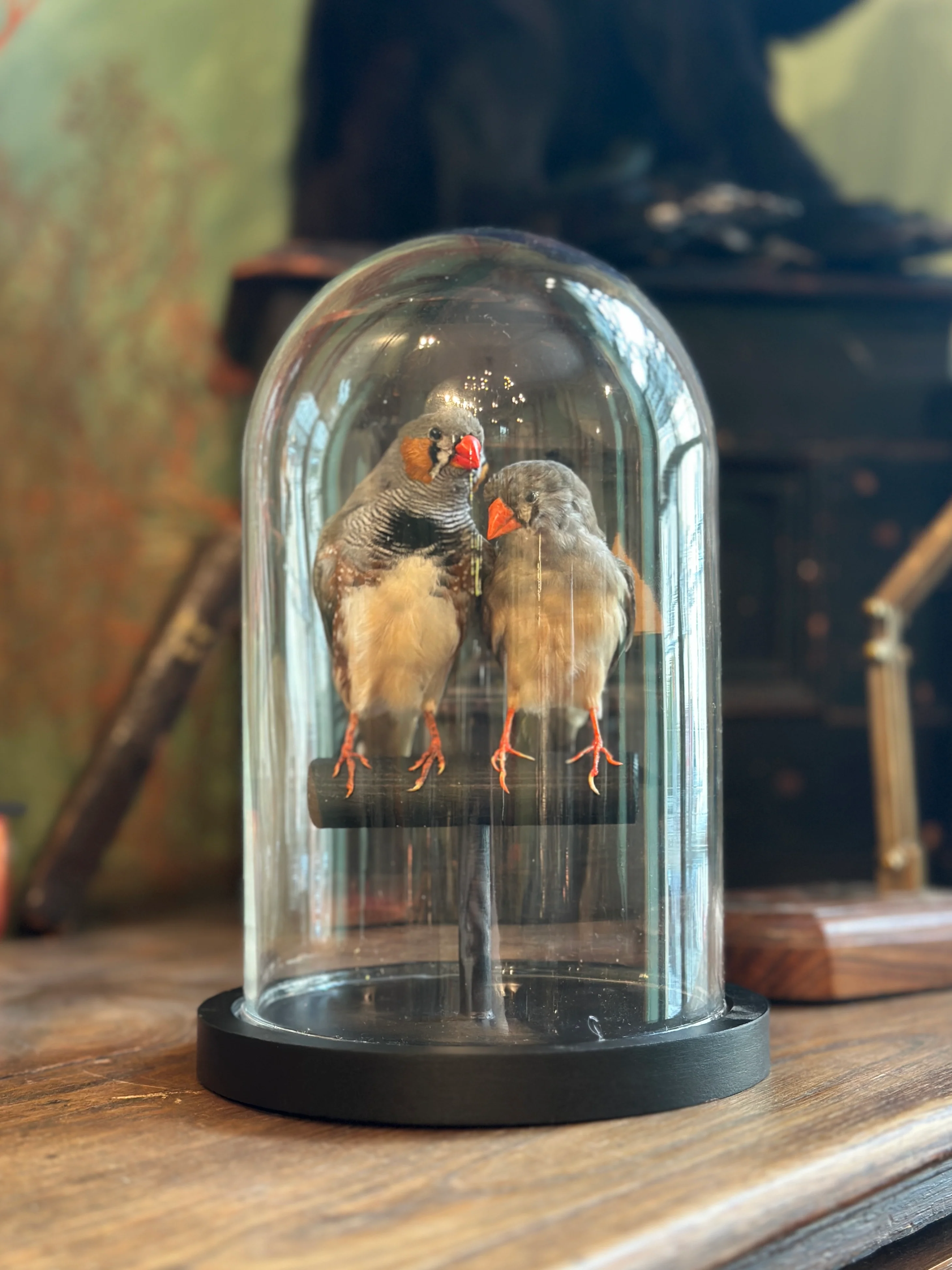 Miniature 7