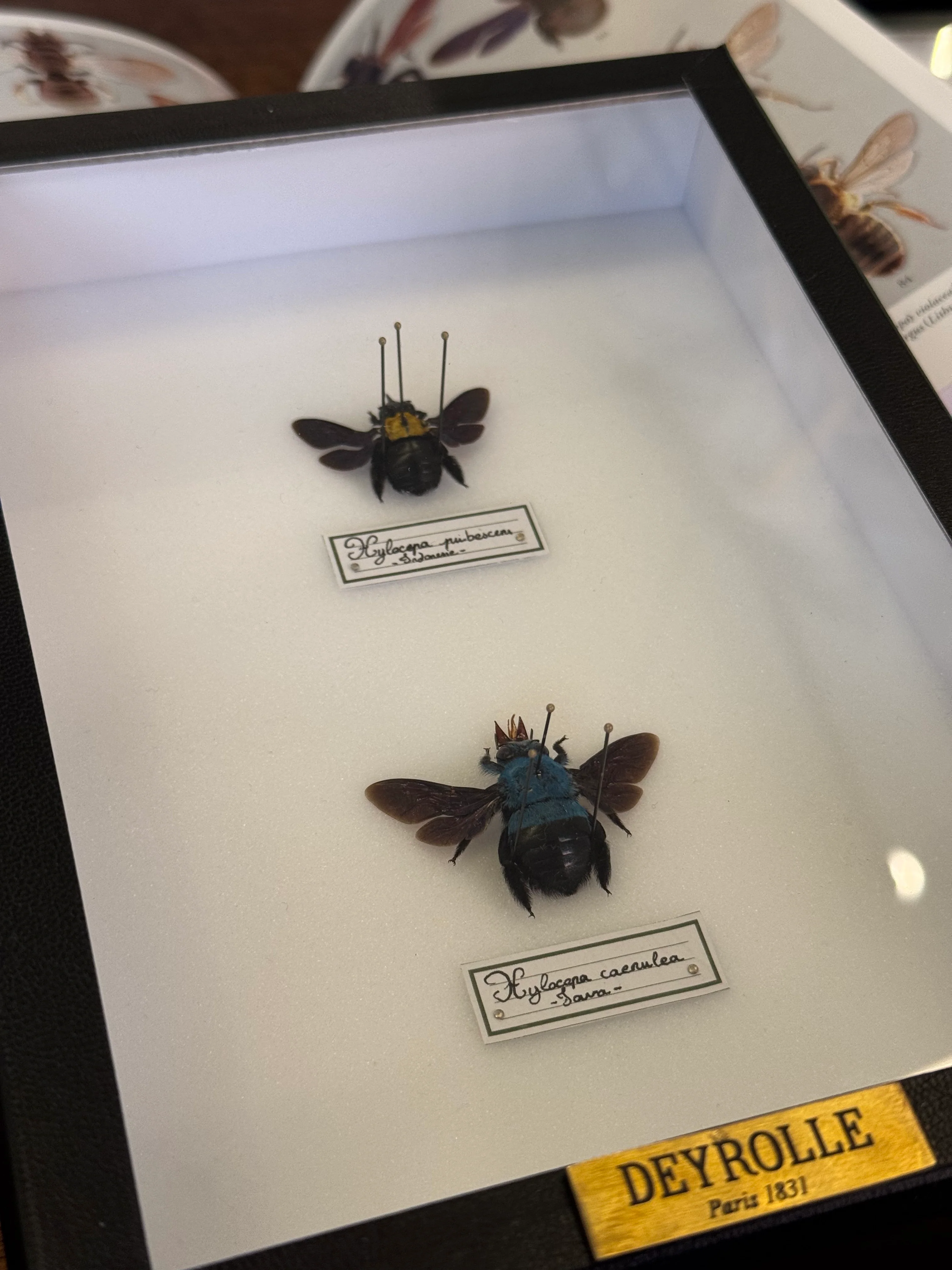 Miniature 3
