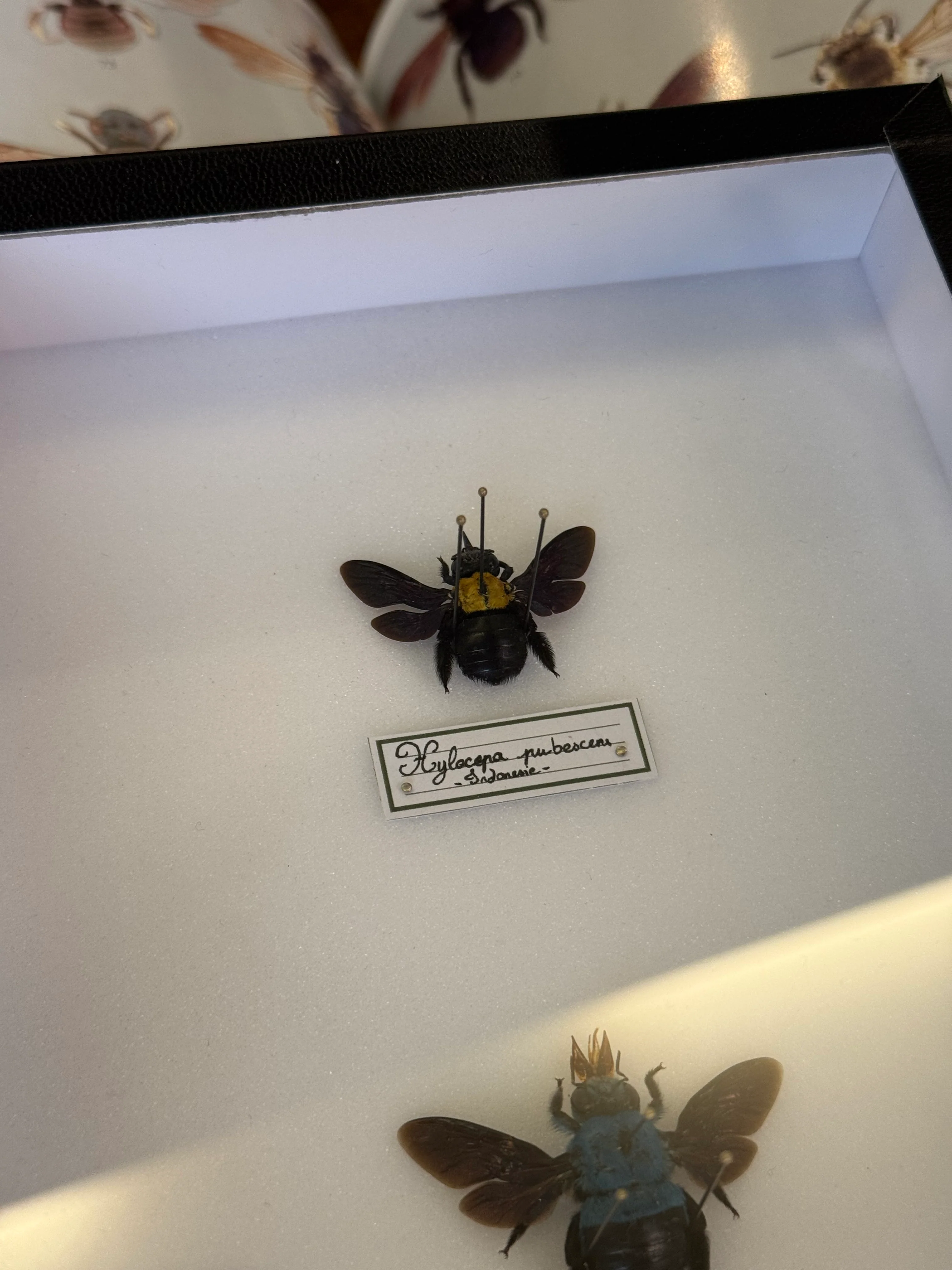 Miniature 4
