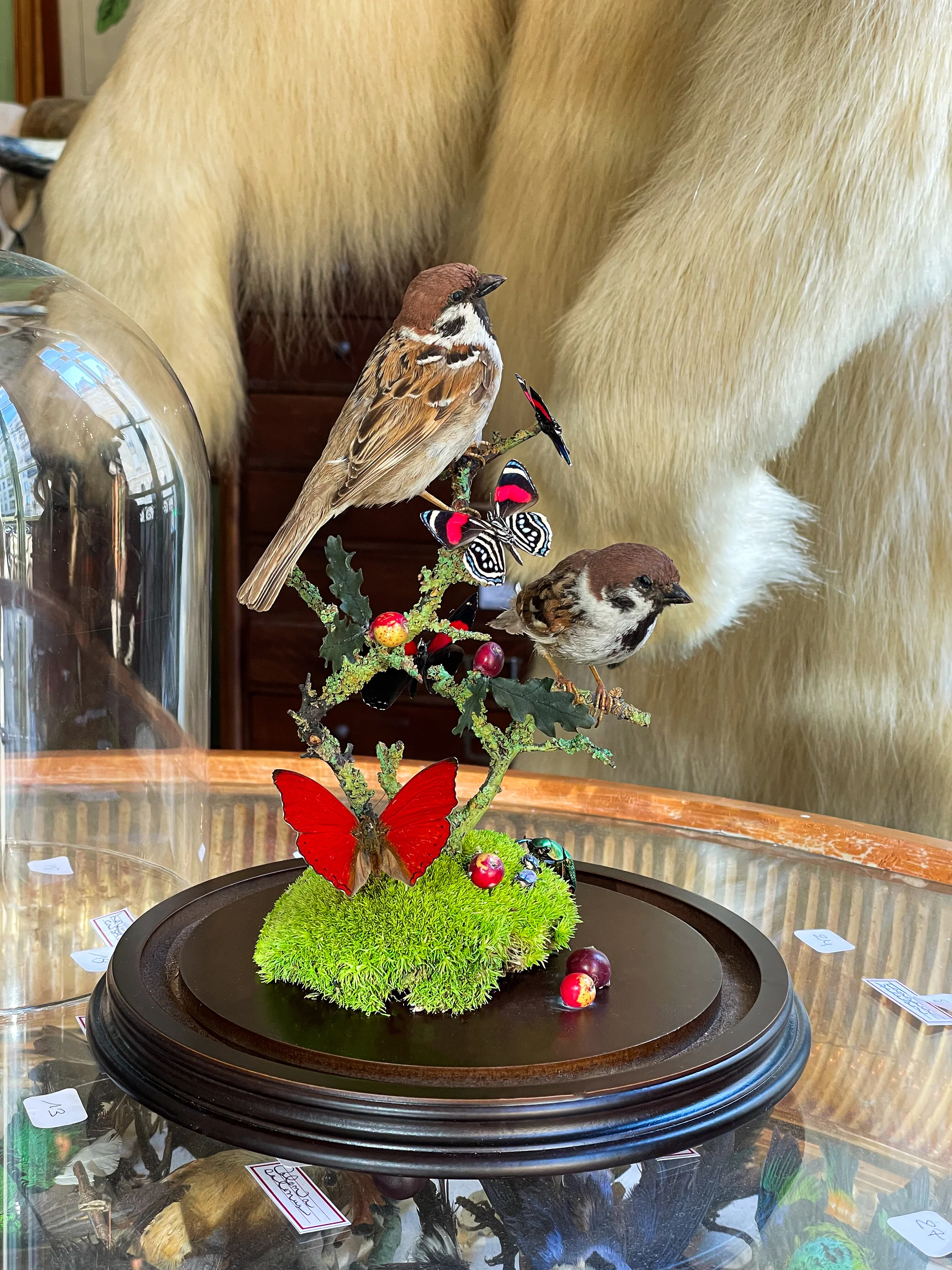 Miniature 4