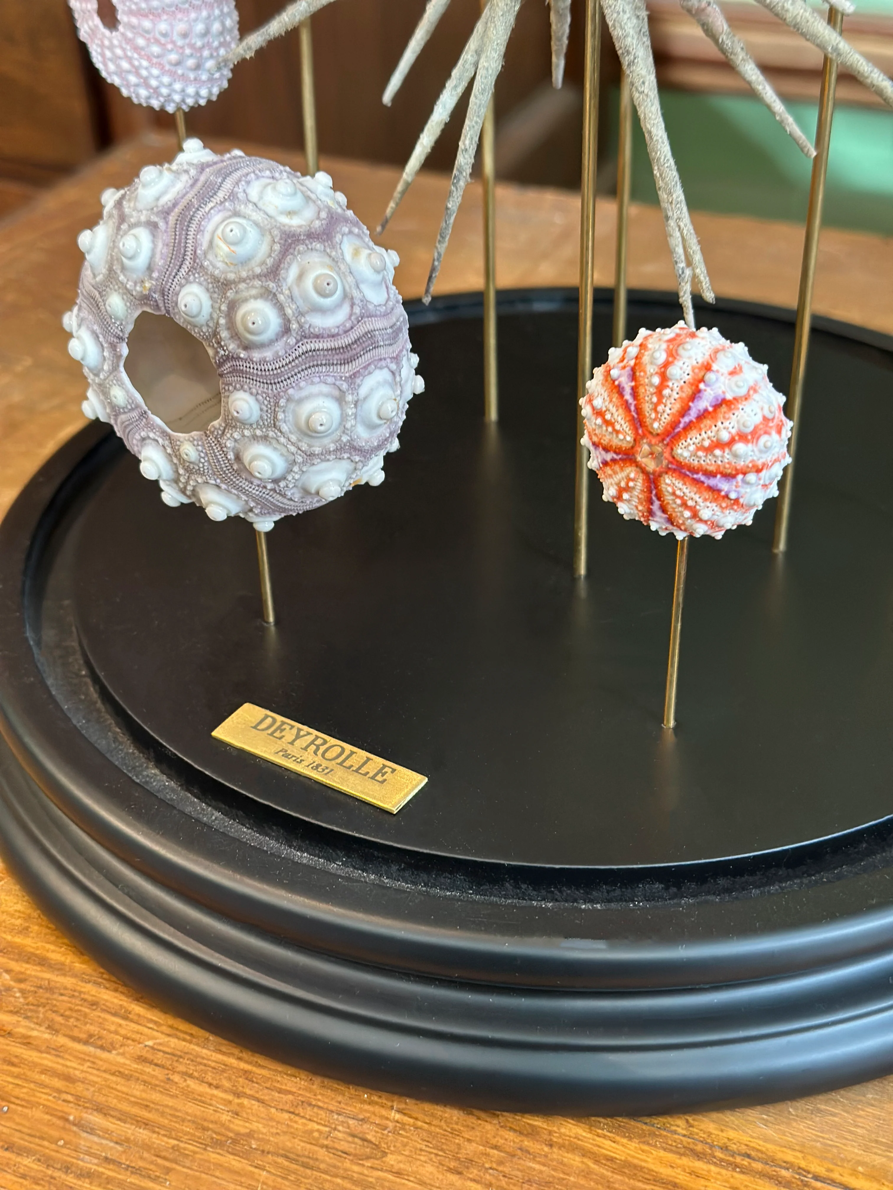 Miniature 2