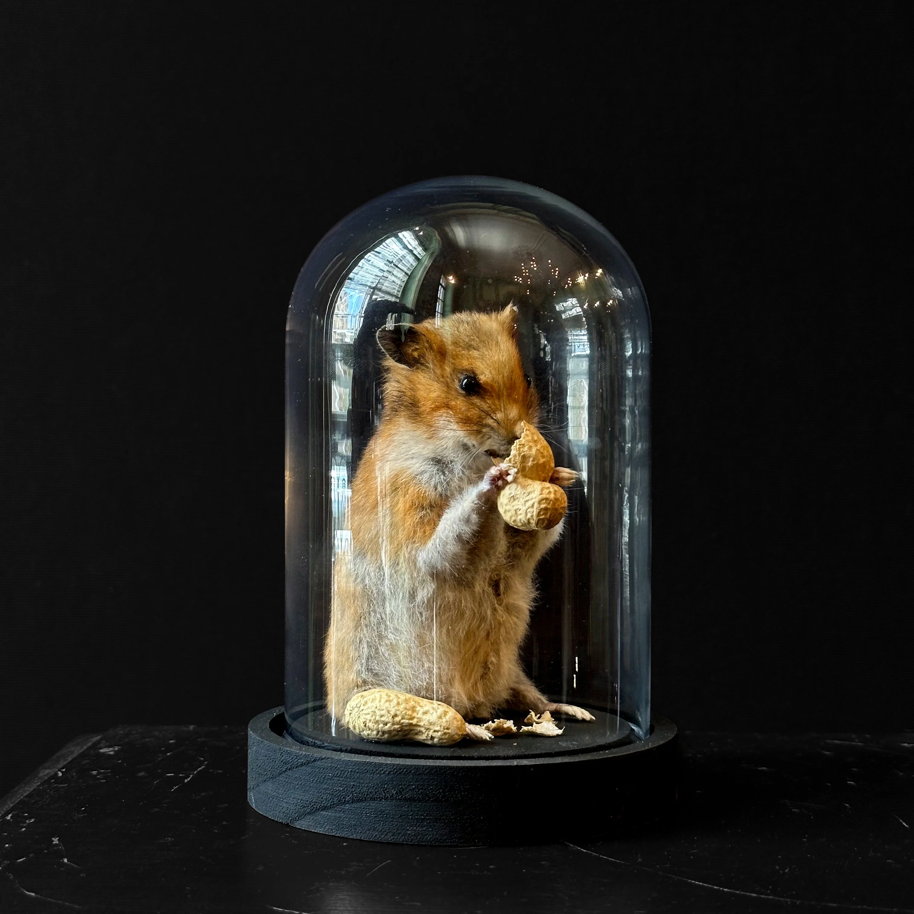 Miniature 1