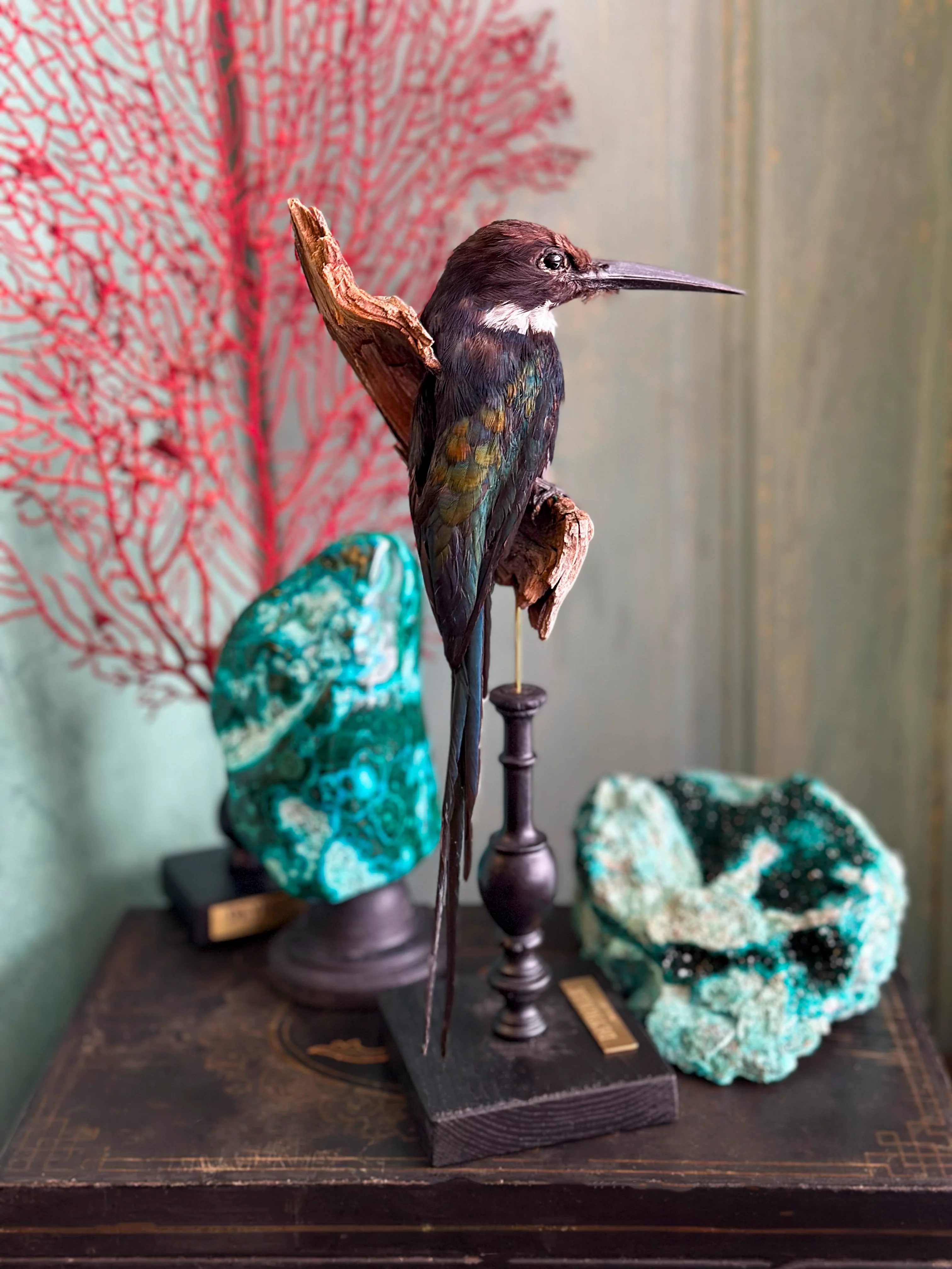 Miniature 2