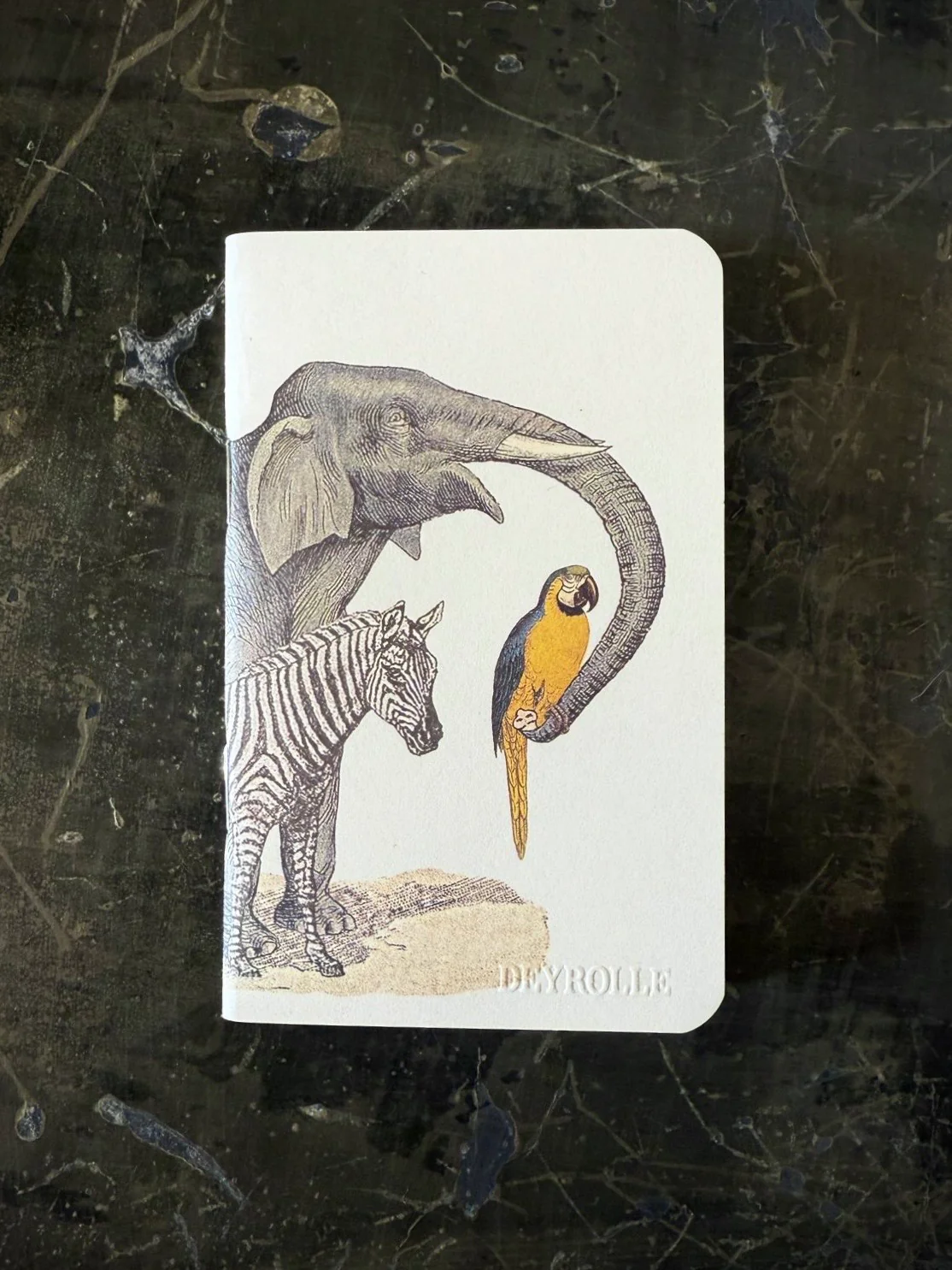Miniature 5