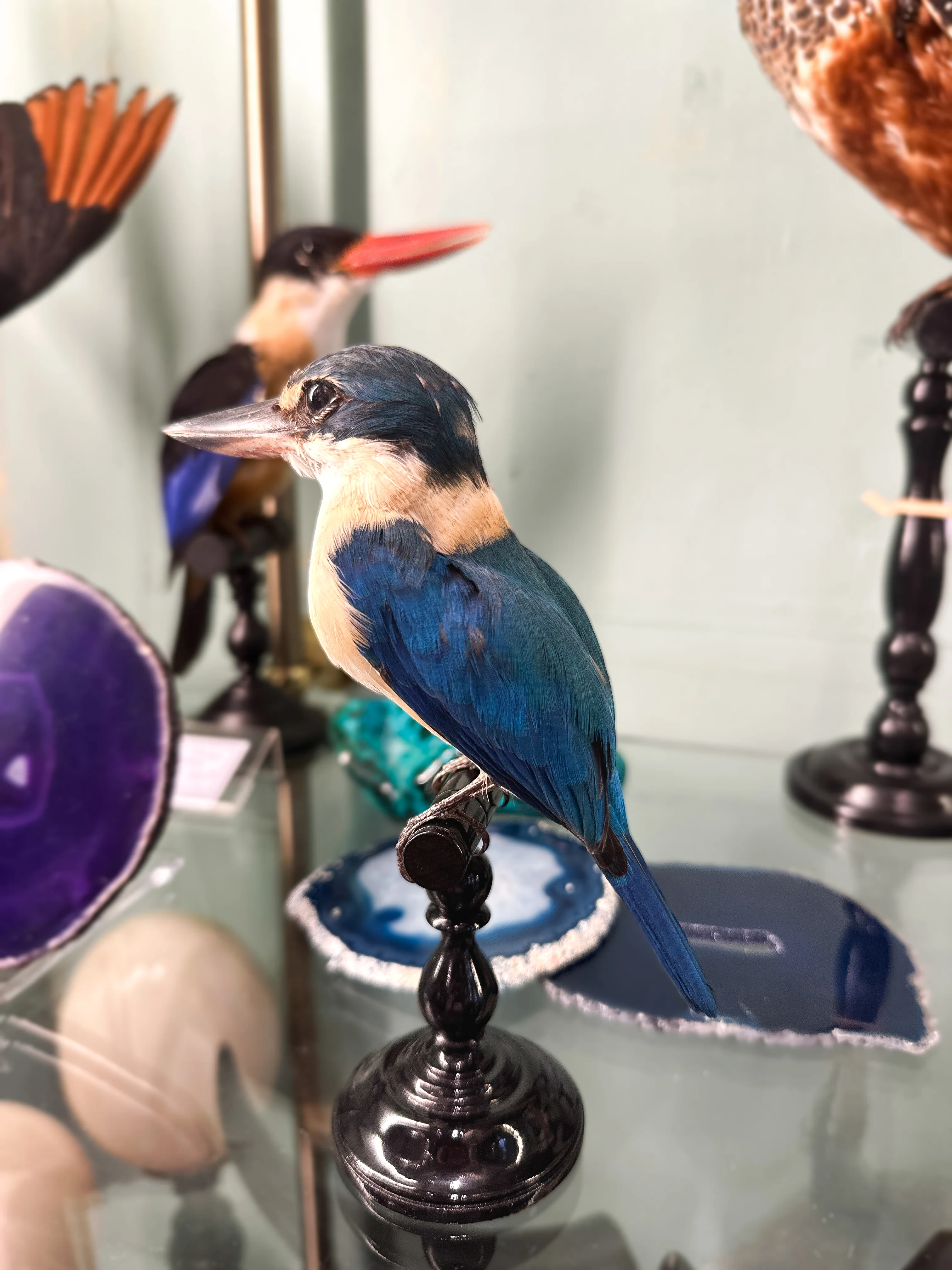 Miniature 2