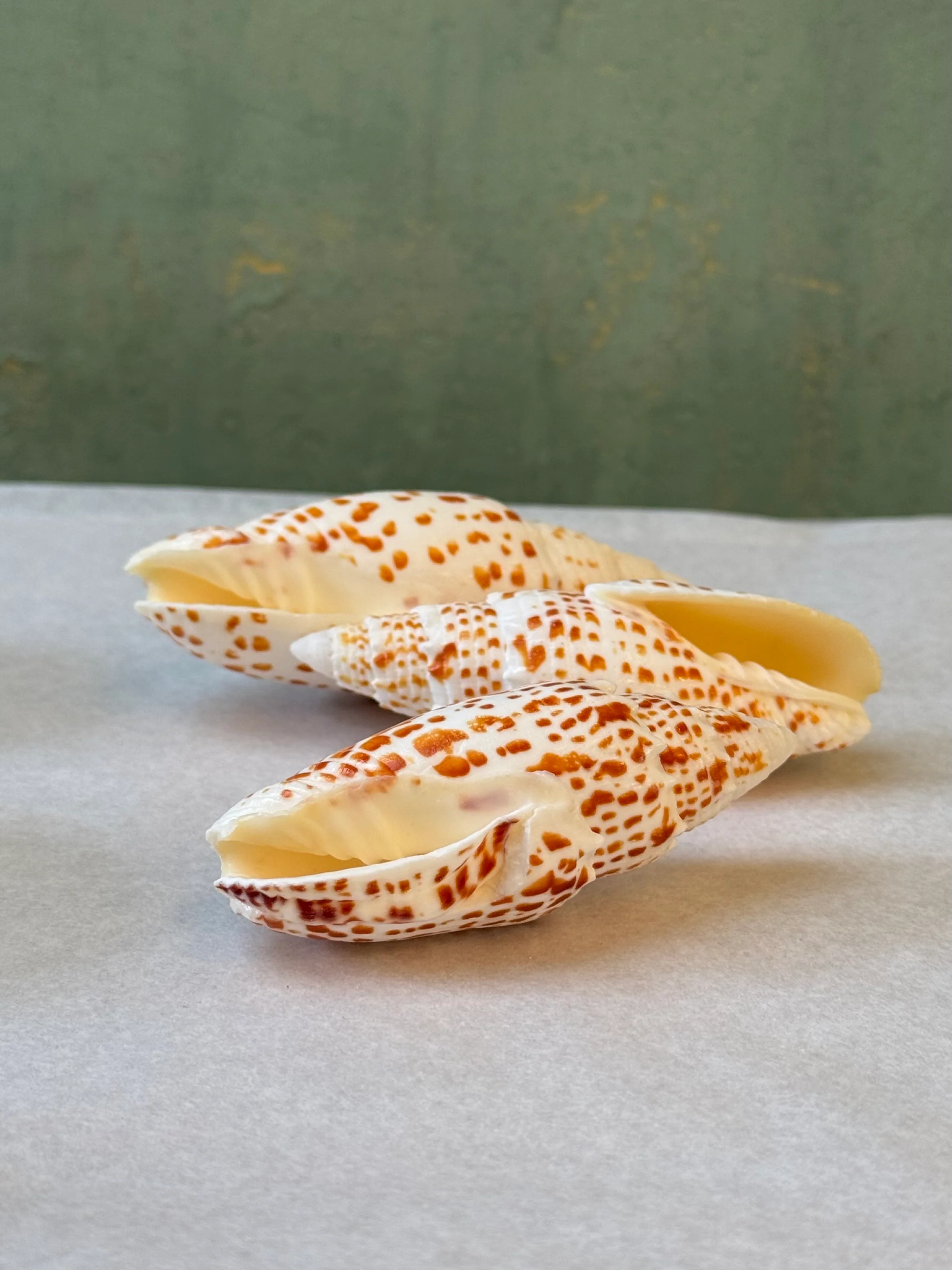 Miniature 2