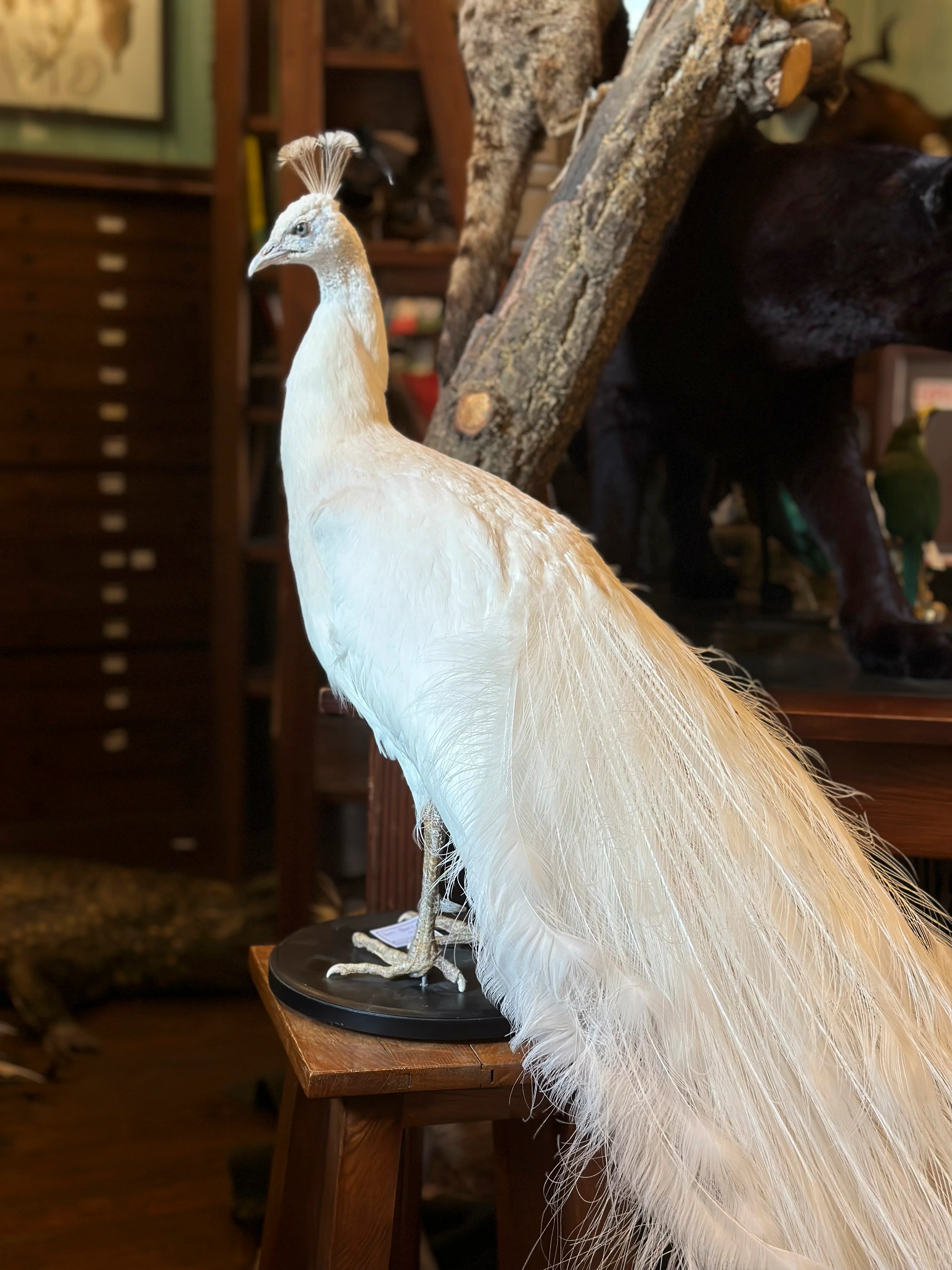 Miniature 4