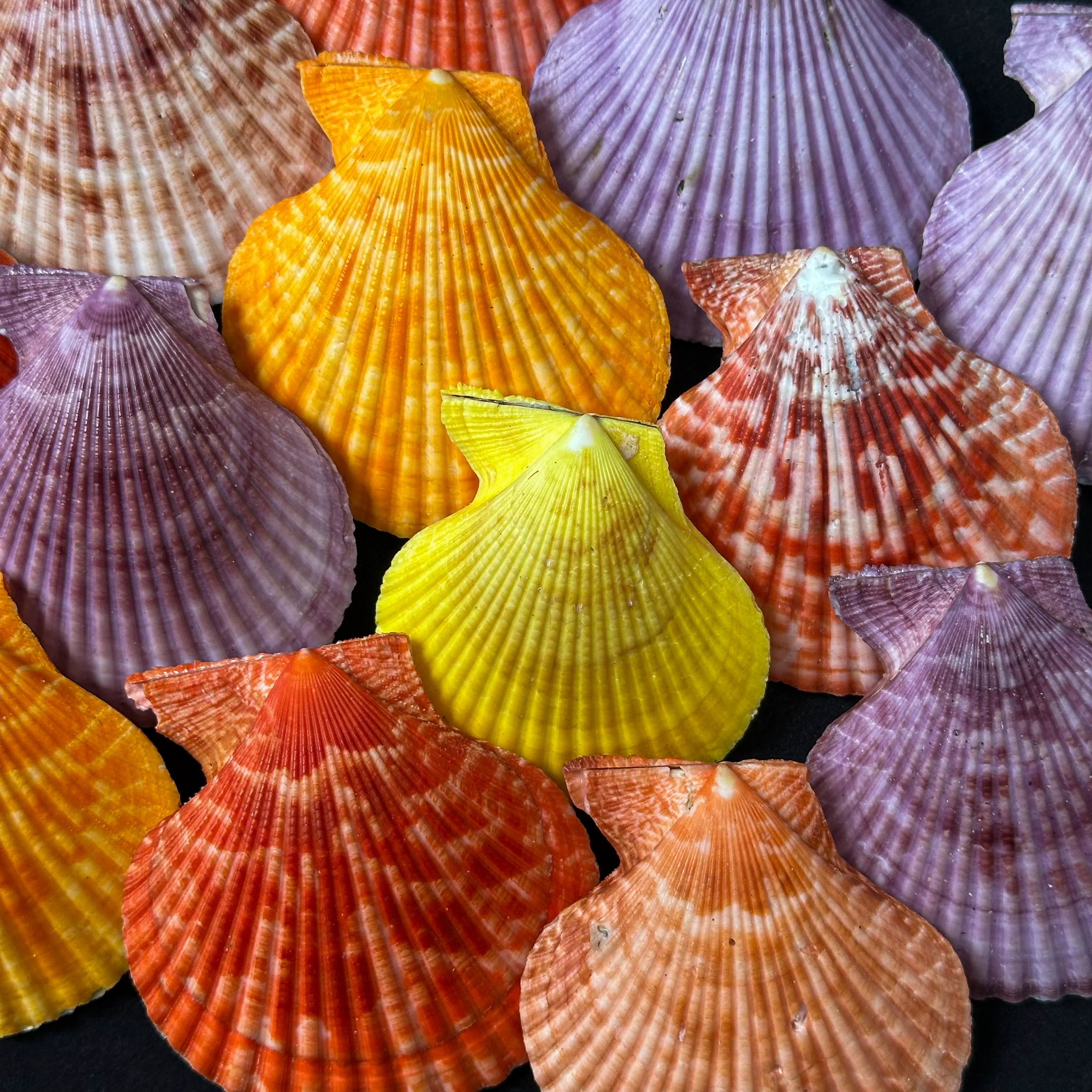 Miniature 4