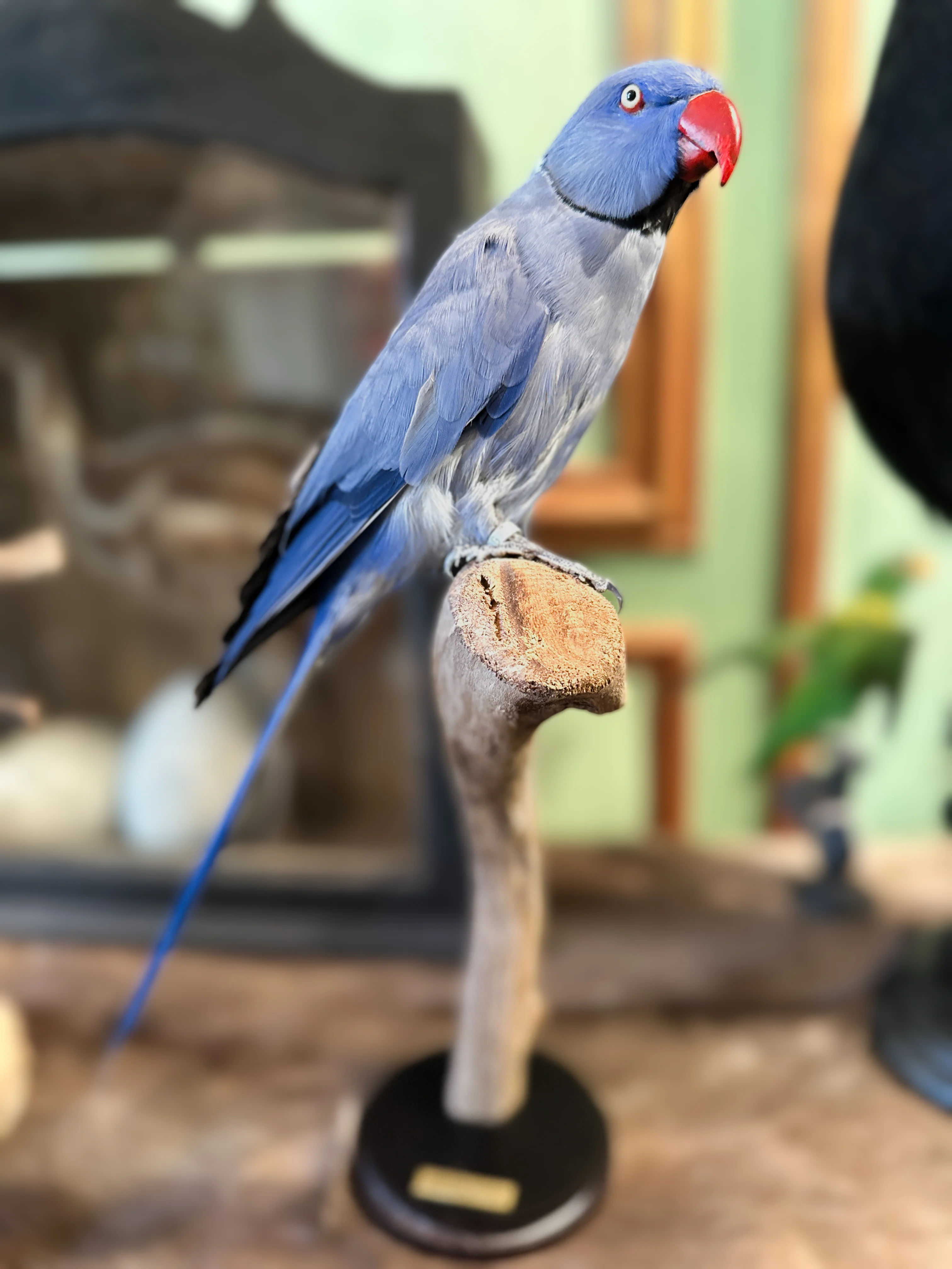 Miniature 3