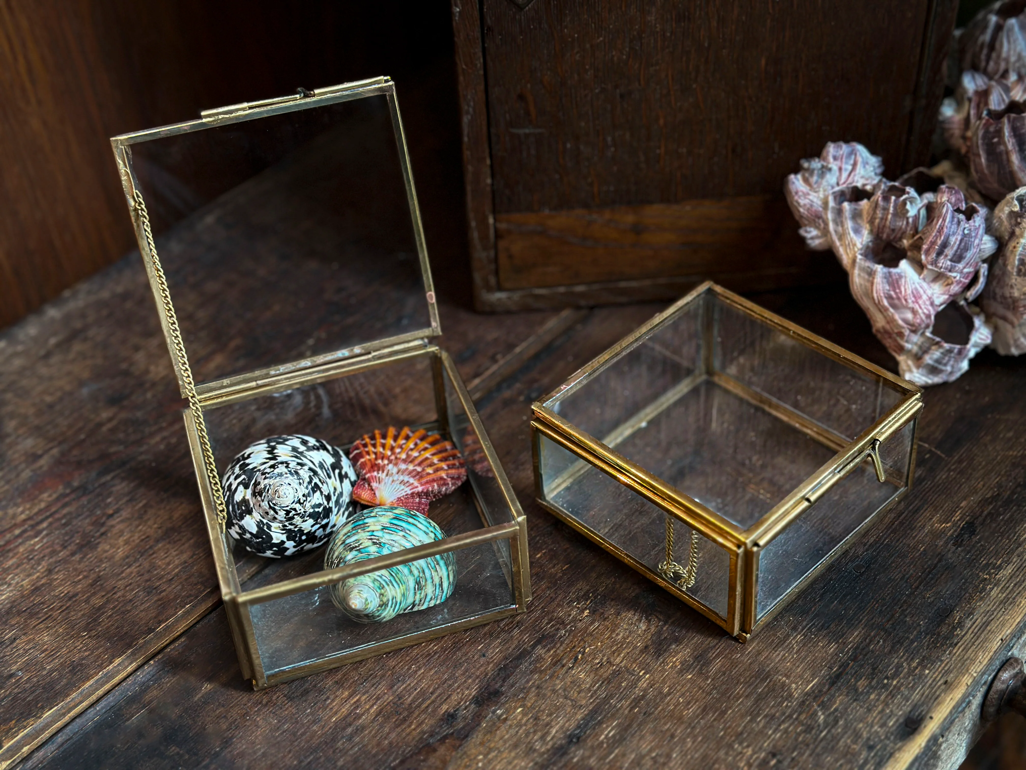 Miniature 3