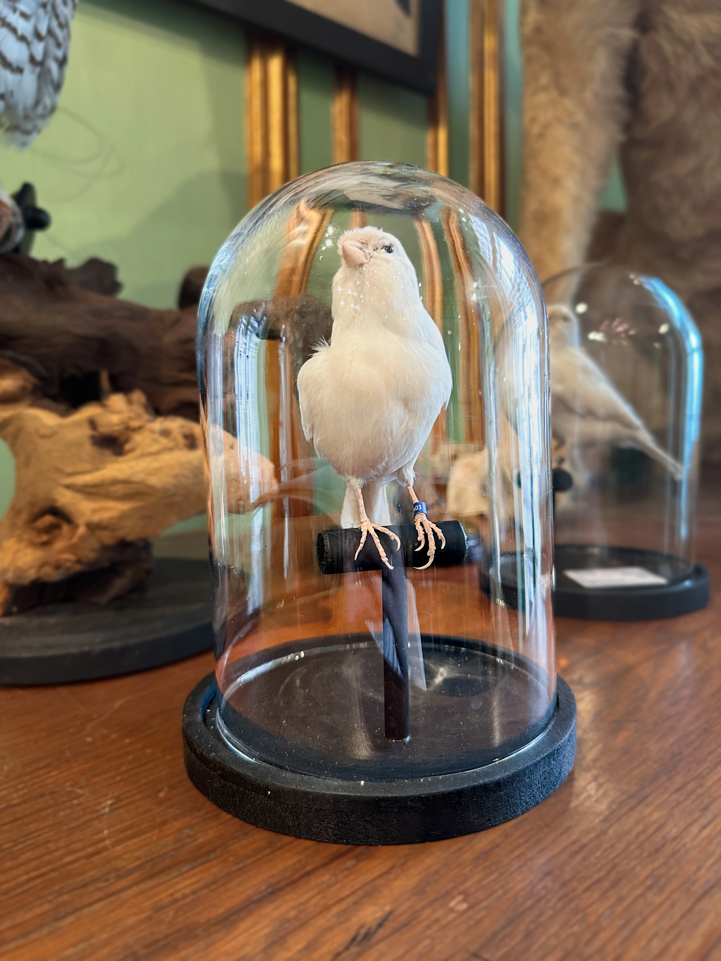 Miniature 5
