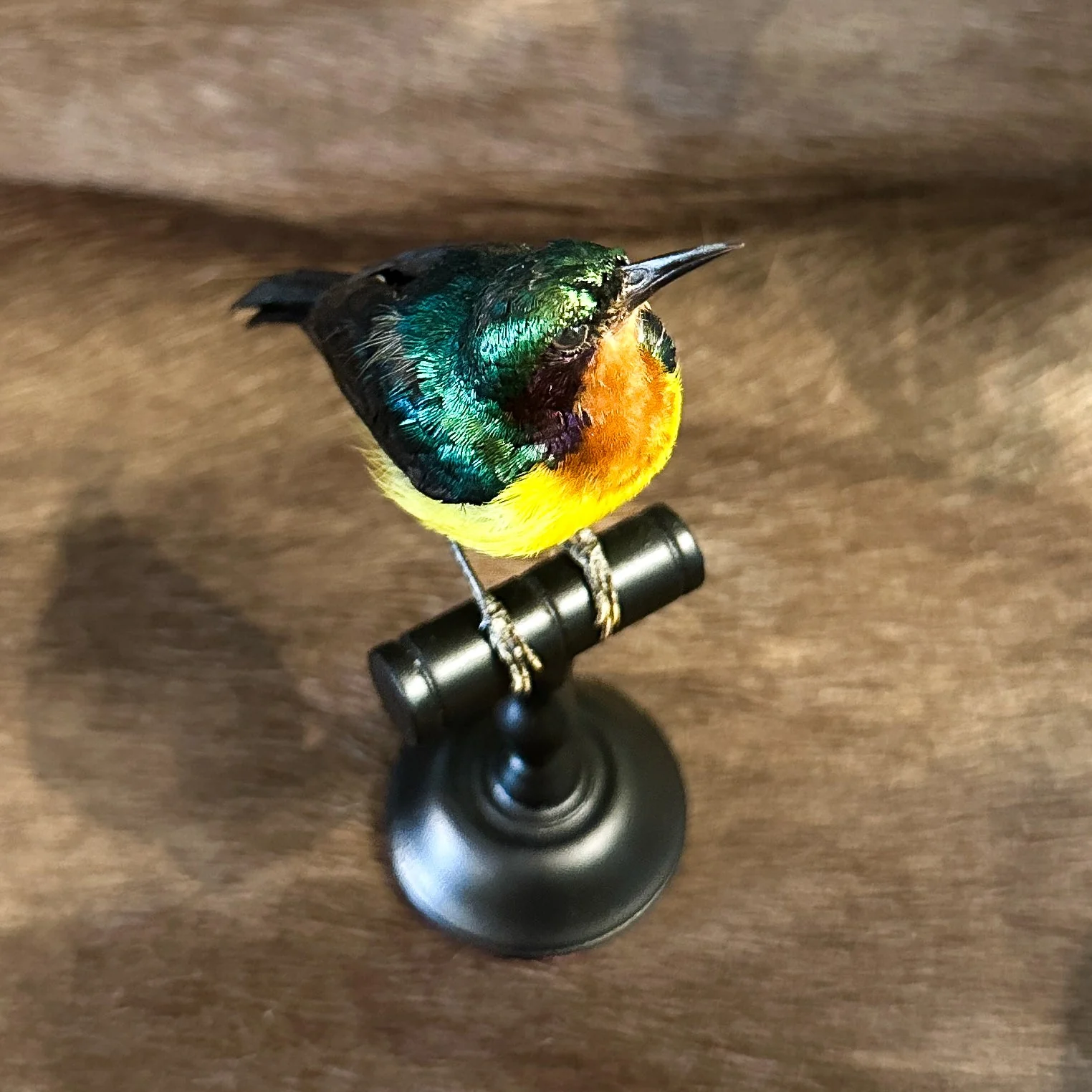 Miniature 2
