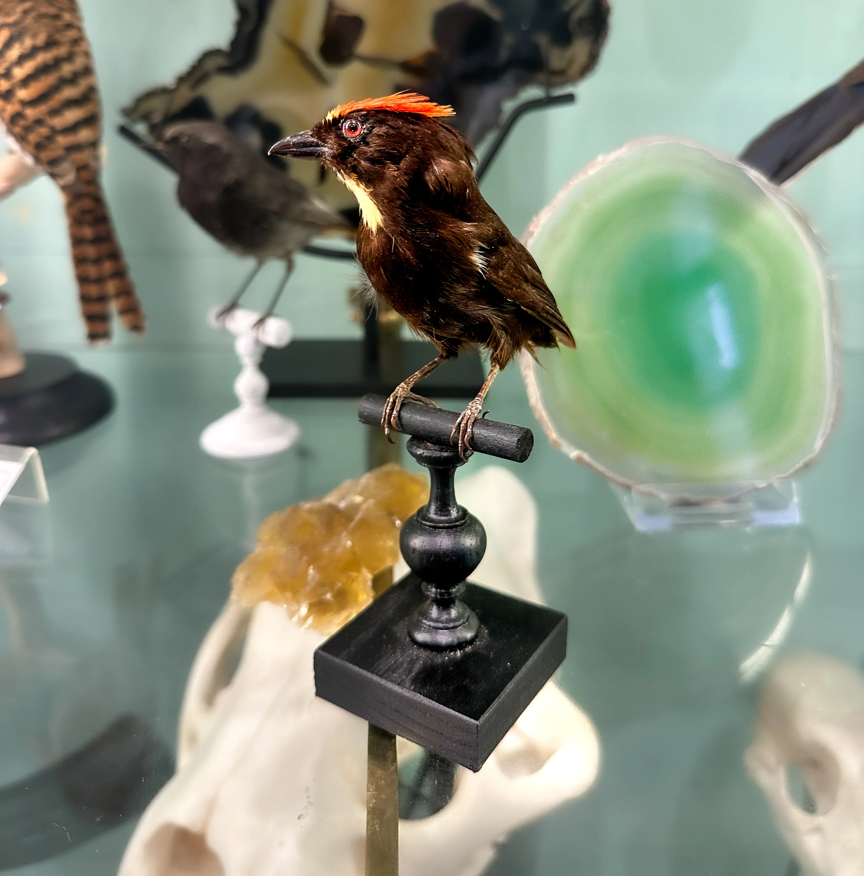 Miniature 2