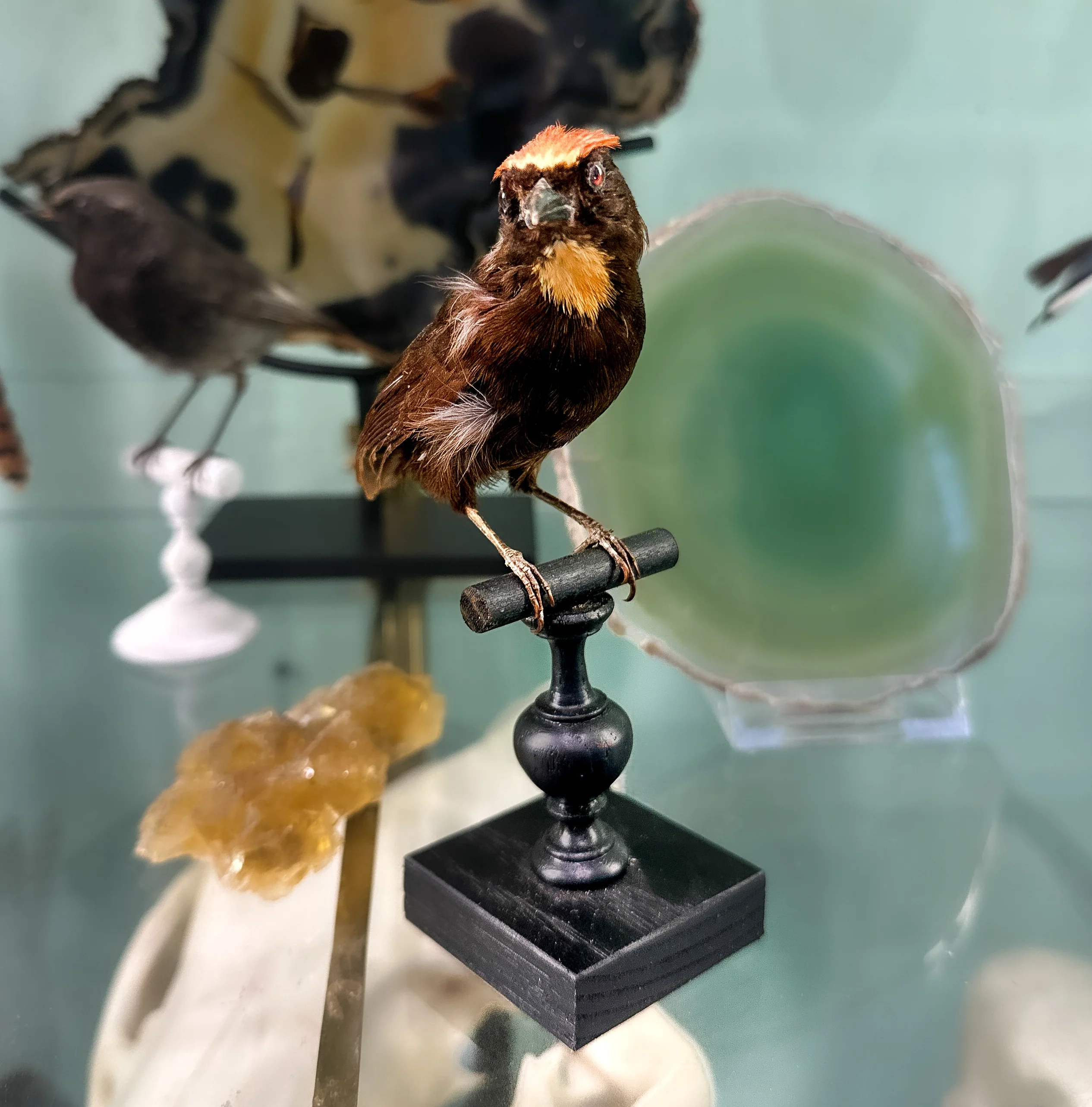 Miniature 3